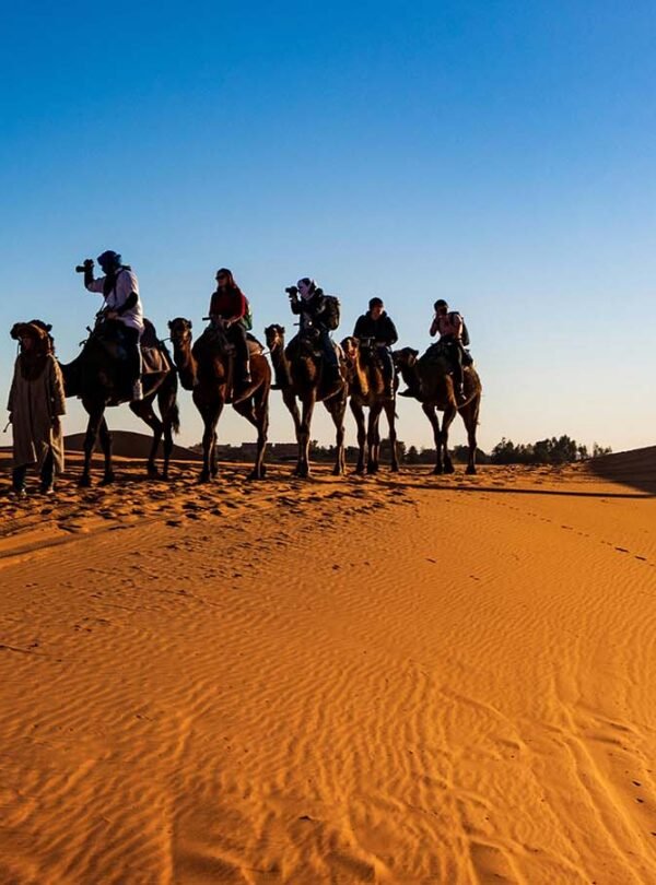 Camel Trekking in Erg Chebbi Desert