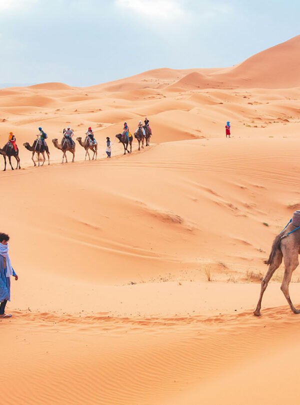 Camel Trekking in Erg Chebbi Dunes
