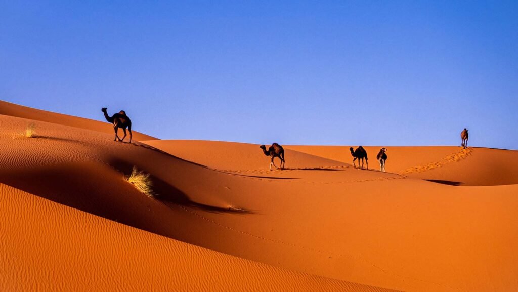 Merzouga Desert Camp – Morocco Desert Tour