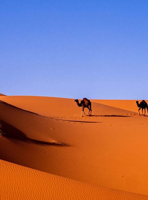 Merzouga Desert Camp – Morocco Desert Tour